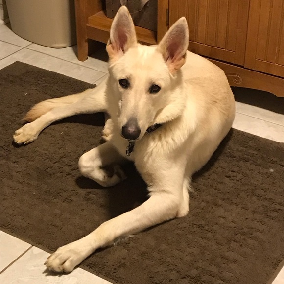 Meet your Posher, Pam - Picture 1 of 2